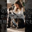 ノルウェージャンフォレストキャットの隠された真実　#shorts