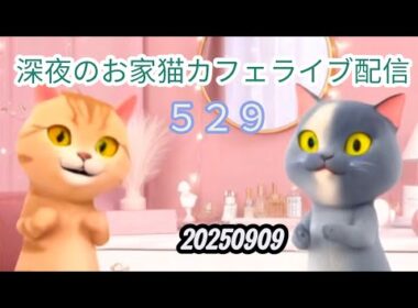 深夜のお家猫カフェライブ配信 ５２９