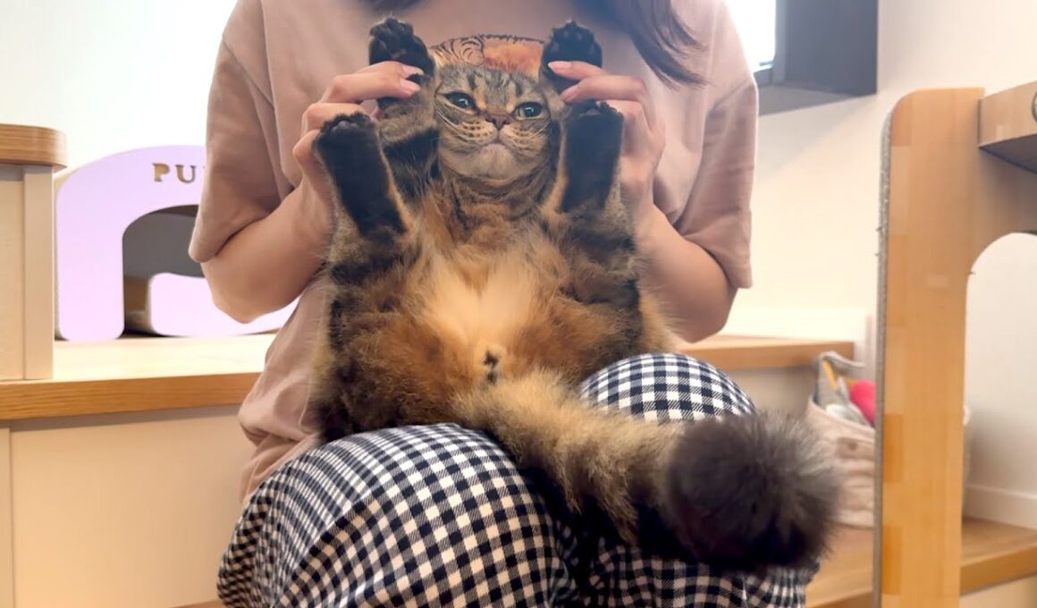 メルが４歳になりました！ばんざーーい！！