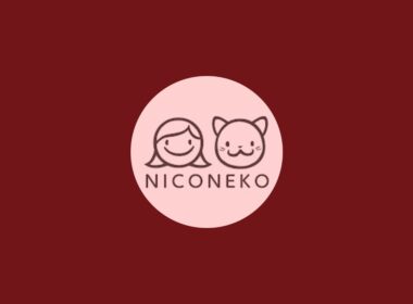 にこねこ【保護猫の保育園】4周年ありがとう😺ゲリラライブ😊