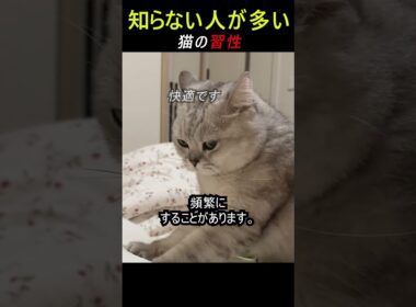 多くの人が勘違いする猫常識