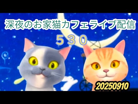 深夜のお家猫カフェライブ配信 ５３０