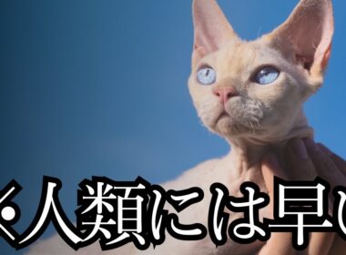 デボン・レックスは宇宙人のふりしたバカだった