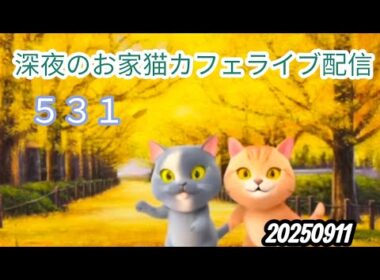 深夜のお家猫カフェライブ配信 ５３１