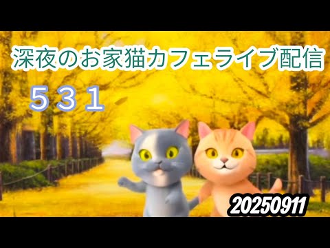 深夜のお家猫カフェライブ配信 ５３１