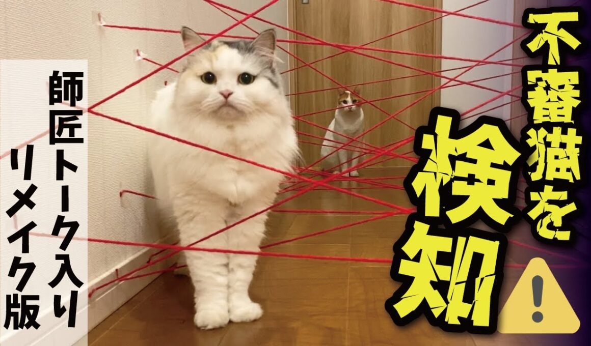 【神回再び】レーザーセキュリティシステムが不審猫を検知しました！！【関西弁でしゃべる猫】【猫アテレコ】