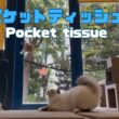 バーマン猫ラフ【ポケットティッシュ】Pocket tissue（バーマン猫）Birman/Cat