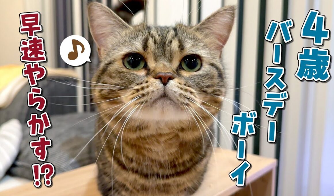 ４歳になったメルに大好きなおやつをあげたらまさかの事件発生！？