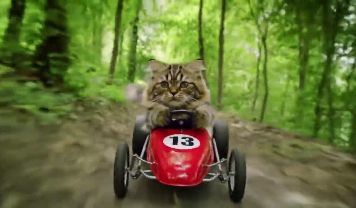 The Speed Trials of Commander Whiskers