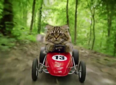 The Speed Trials of Commander Whiskers