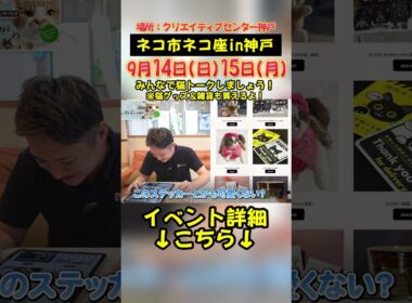 【日本最大級の猫イベント】ネコ市ネコ座 in 神戸 に出店します！！