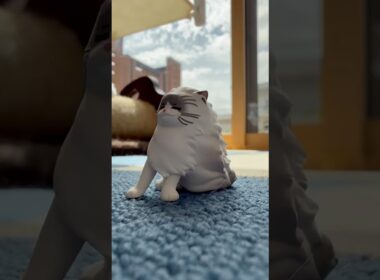 ガチャガチャで当たったオモチャがまさかの…⁉️🐈　#ラグドール #猫のいる暮らし #猫のいる生活 #ragdollcat #cat