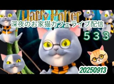 深夜のお家猫カフェライブ配信 ５３３