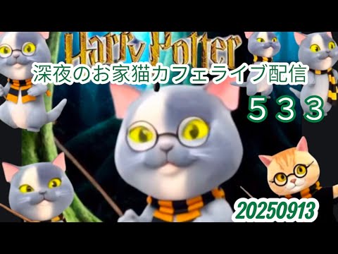 深夜のお家猫カフェライブ配信 ５３３
