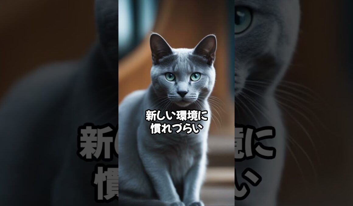 人気の猫 魅力解剖！ロシアンブルーを飼うデメリット ベスト5 #shorts