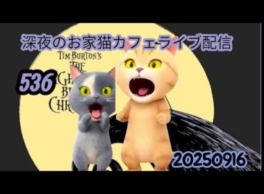 深夜のお家猫カフェライブ配信 ５３６