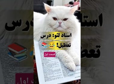 وقتی گربه‌ت نمیذاره زبان بخونی! 📚🐾 | Leo Persian Cat