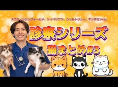 診察シリーズ猫まとめ#3