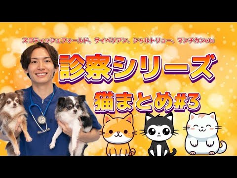 診察シリーズ猫まとめ#3