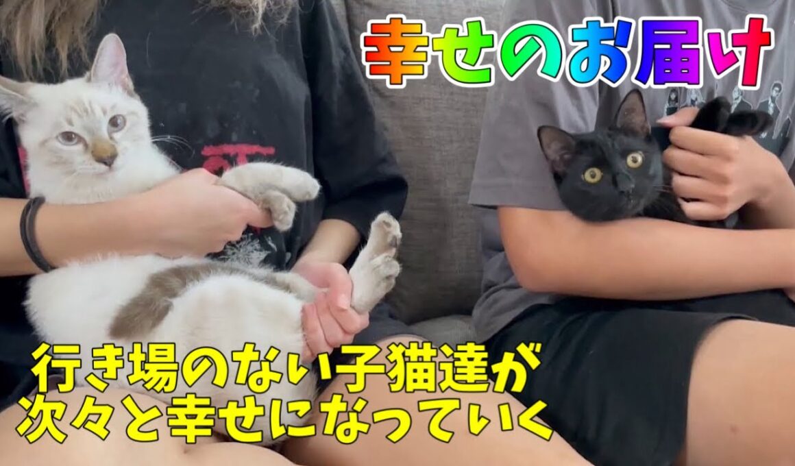 【幸せのお届け】この子達を飛行機に乗せて心から良かったと思える場面