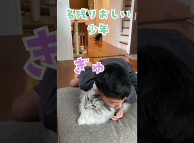 朝、大型猫と別れるのが名残惜しくて何度もぎゅっとする少年。#メインクーン#shorts