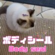 バーマン猫ラフ【ボディシール】Body seal（バーマン猫）Birman/Cat