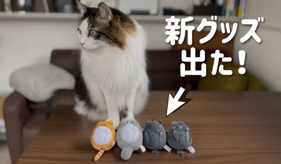 かわいい新グッズ、出たよー！
