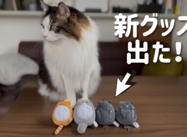 かわいい新グッズ、出たよー！