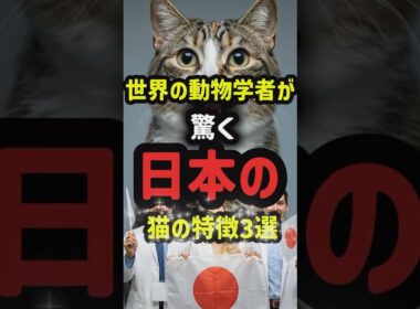 海外の動物学者が驚愕した日本のネコの特徴3選#猫動画