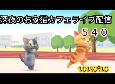 深夜のお家猫カフェライブ配信 ５４０