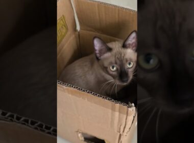 You will never hide from me