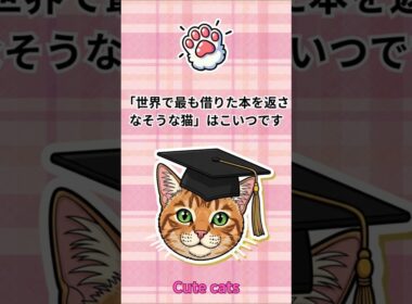 アメリカンショートヘアは借りた本を返さなそうな猫　　＃cat #Shorts #OriginalMusic