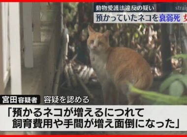 ネコ死骸は100匹超 自宅でネコを預かっていた女を動物愛護法違反の疑いで逮捕