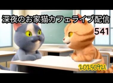 深夜のお家猫カフェライブ配信 ５４１