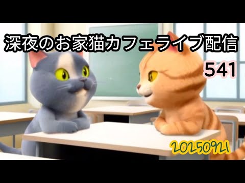 深夜のお家猫カフェライブ配信 ５４１