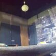 【 cat 】【 toyama 】( 古民家 ) 保護猫部屋 LIVE　(それぞれ好きな所で寝て、家庭同様にオヤツも食べ、21時過ぎには主照明を消す、猫達にストレス無いシェルターを心がけています。)
