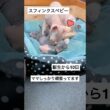 ♡子育て中のスフィンクスママ♡ #スフィンクス #sphynx #shorts #猫動画 #猫のいる暮らし