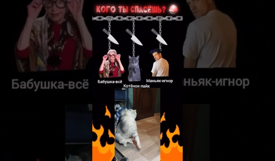 2 сентября 2025 г.