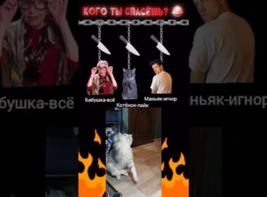 2 сентября 2025 г.