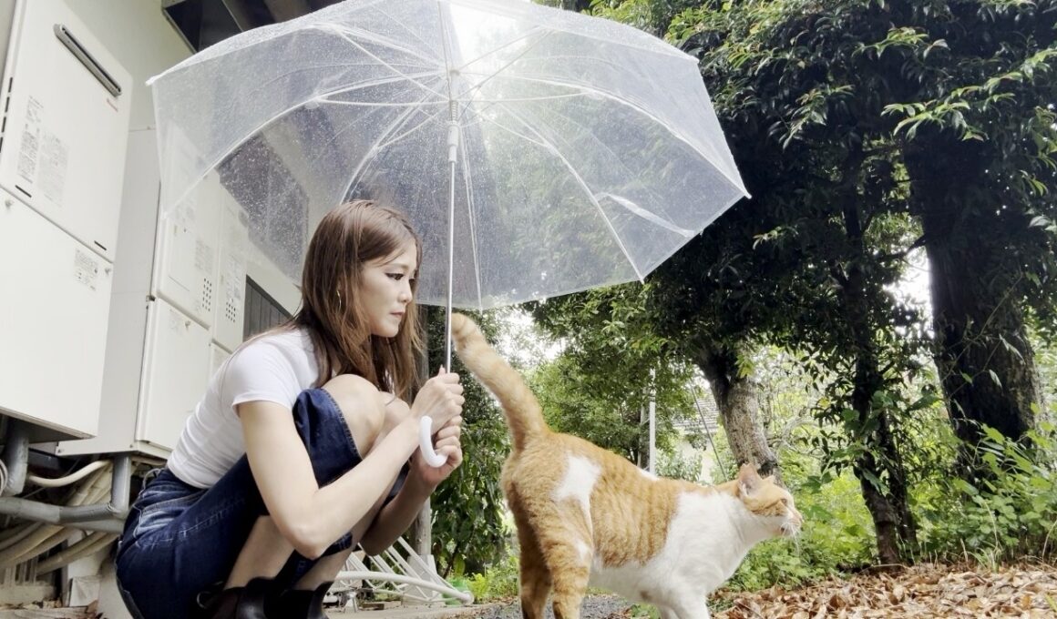 雨降るお庭で濡れていた庭子猫に傘を差し出すとまさかの反応が？！