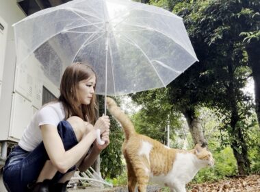 雨降るお庭で濡れていた庭子猫に傘を差し出すとまさかの反応が？！