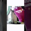 【押し間違い⁉】猫の会話ボタン事件😂🐾 必見！パパには悪いけど可愛い🤣 【トンキニーズ】Oops! Wrong Button!? Cat’s Talk 😂🐾 #猫 #猫動画 #トンキニーズ