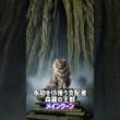 究極の巨大猫が決まる！👑メインクーン•サイベリアン👊