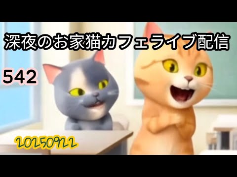 深夜のお家猫カフェライブ配信 ５４２