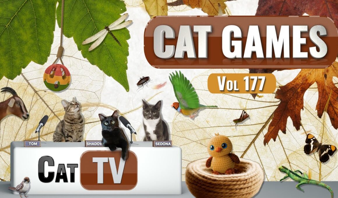 CAT Games | Ultimate Cat TV Compilation Vol 177 | 8 HOURS  🐝🐞🦋🦎🦜🐜🐭🧵