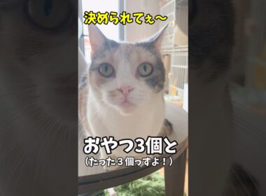 小さな頃から太り気味