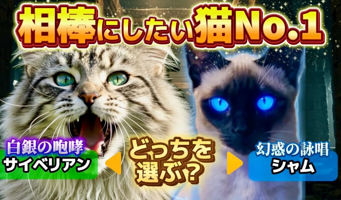 【徹底比較】あなたの相棒にしたい猫は？シャム／サイベリアンの魅力を解説