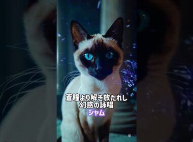 相棒にしたい猫はどっち？😾👊シャム•サイベリアン🔫