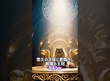 モフモフ猫の一番は？😼ペルシャ•サイベリアン🐈