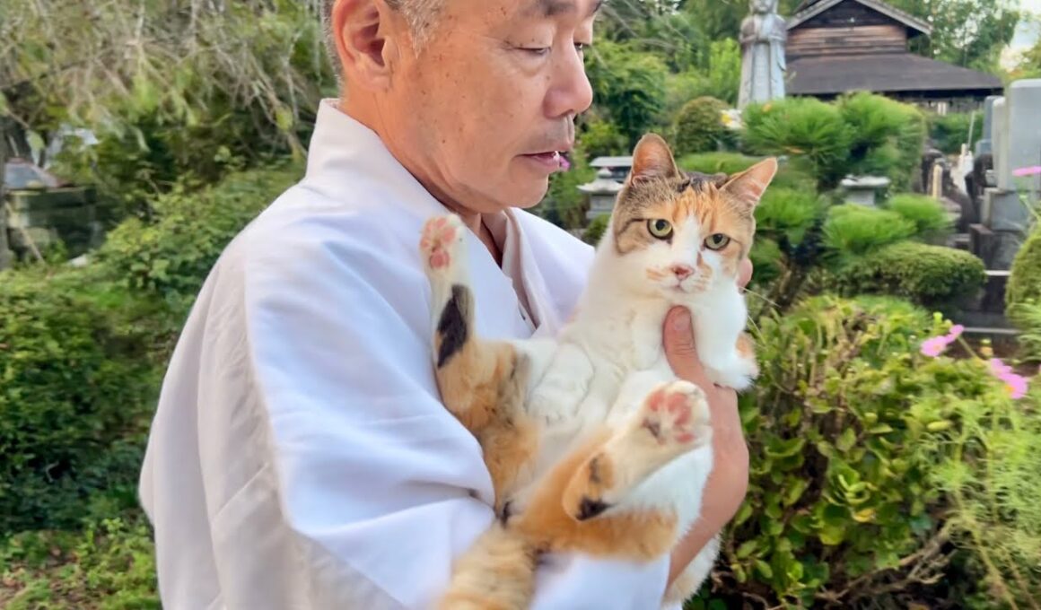 住職とのお散歩が大好きなミー子がかわいい！